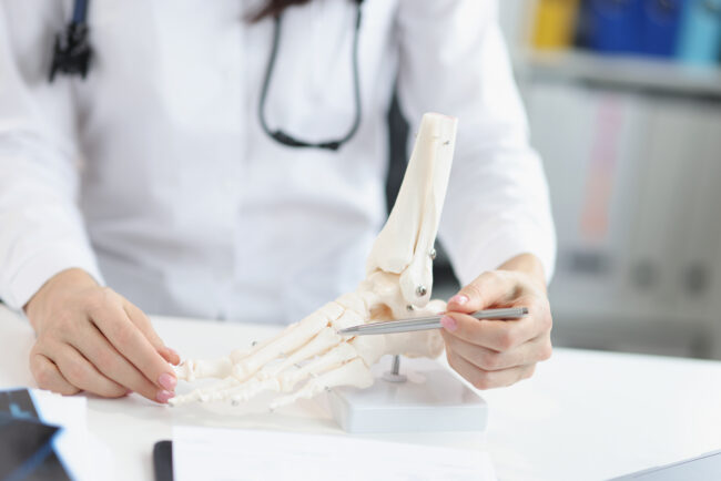 Orthopedic doctor show human plastic feet model, analyzing every bone and toe